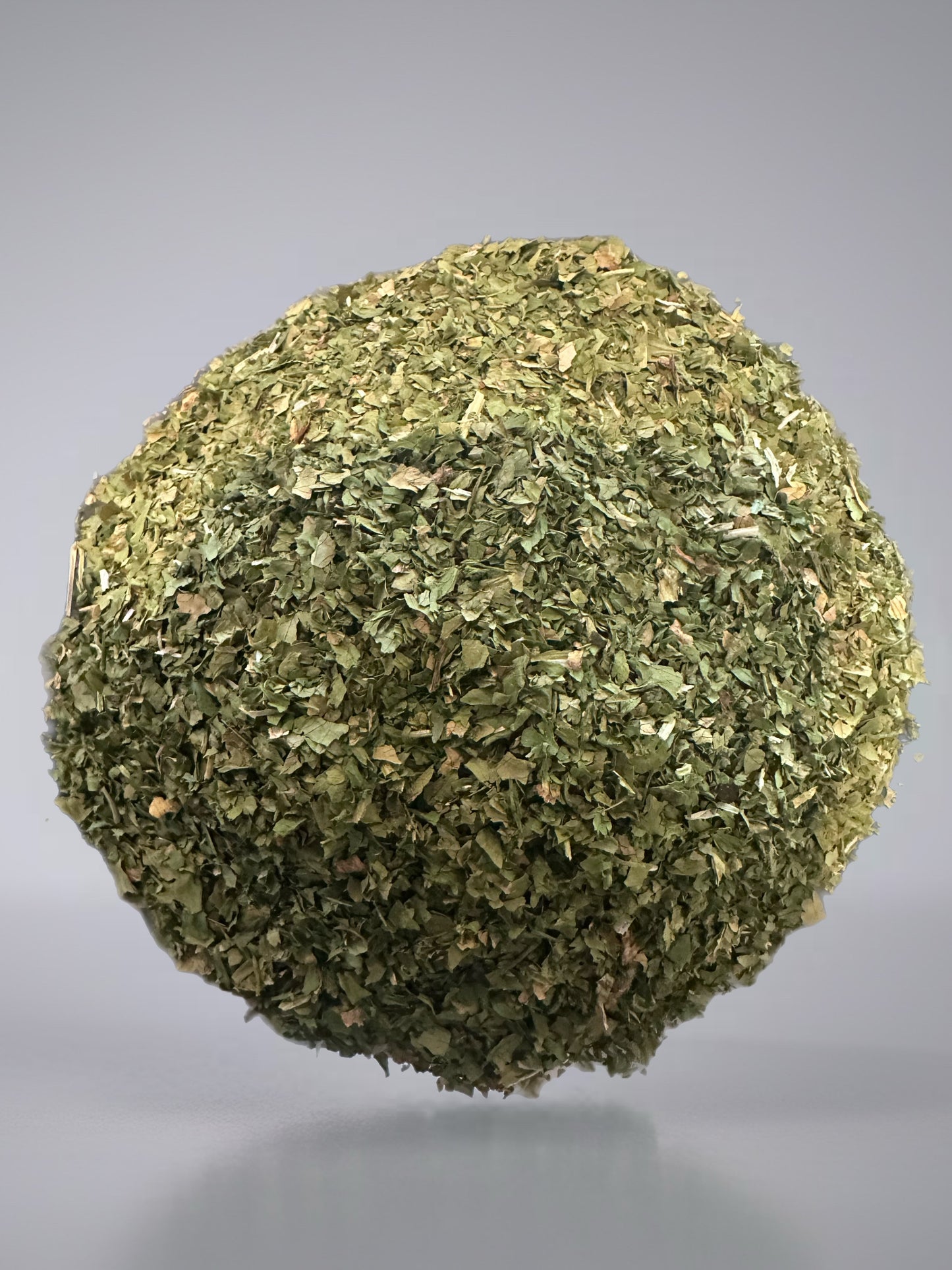 Cilantro
